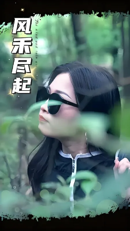 风禾尽起（年份）