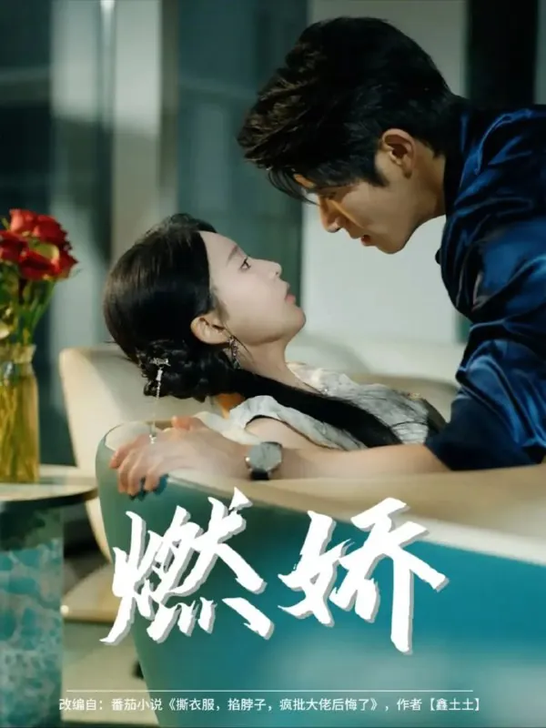 燃娇（81集）