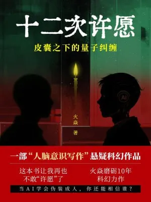 十二次许愿：皮囊之下的量子纠缠（epub）