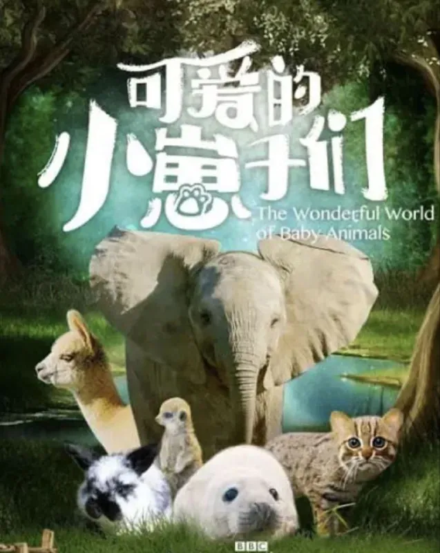 可爱的小崽子们（2019）
