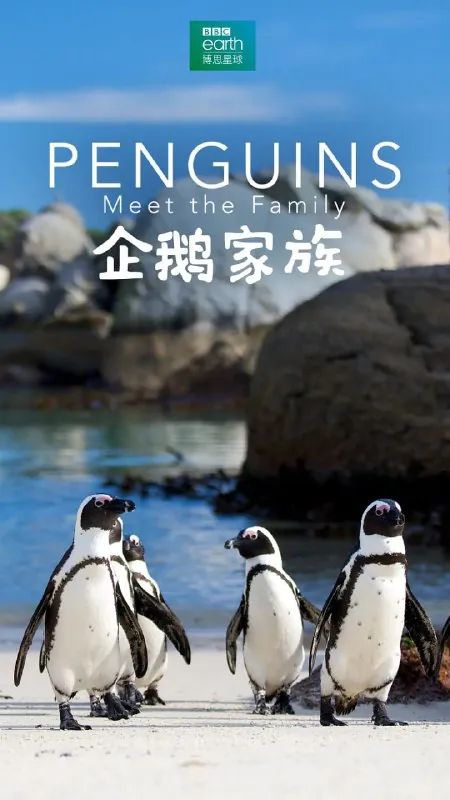 企鹅家族PenguinsMeettheFamily（2020）