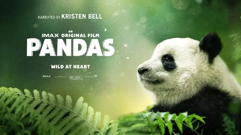 大熊猫Pandas（2018）