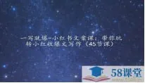 小红书文案课：带你玩转小红收爆文写作（45节课）