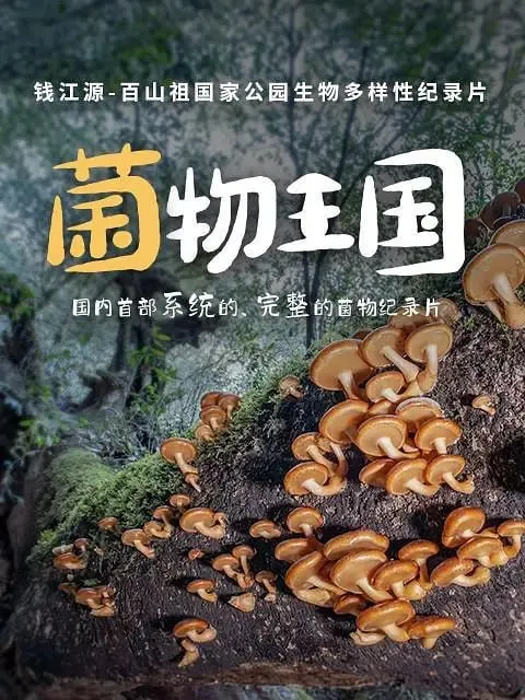 菌物王国（2023）
