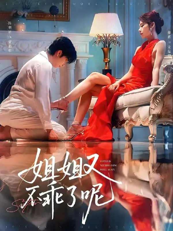 姐姐又不乖了呢（年份）