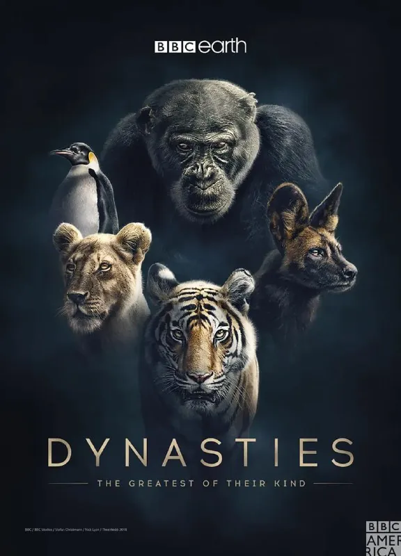 王朝第一季（2018）