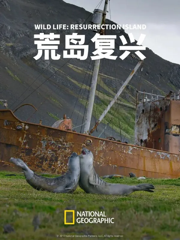 荒岛复兴（2018）
