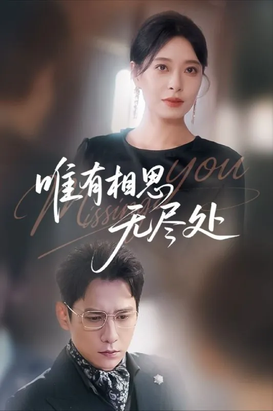 唯有相思无尽处（66集）